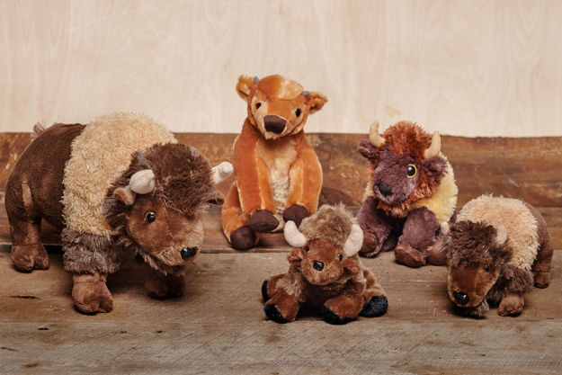 Image sur Peluches Bison