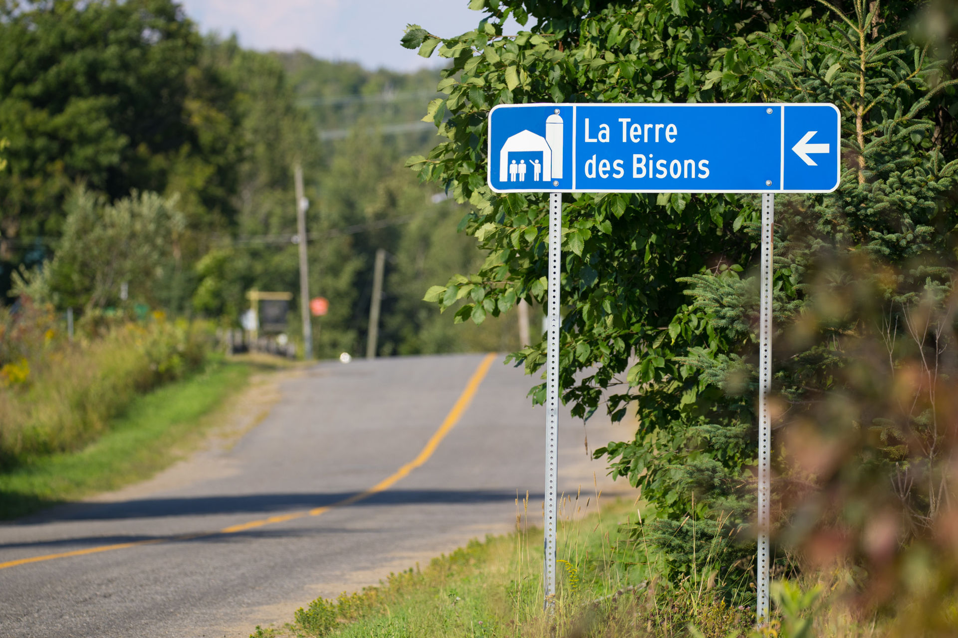 Image de la catégorie ACTIVITÉS AGROTOURISTIQUES