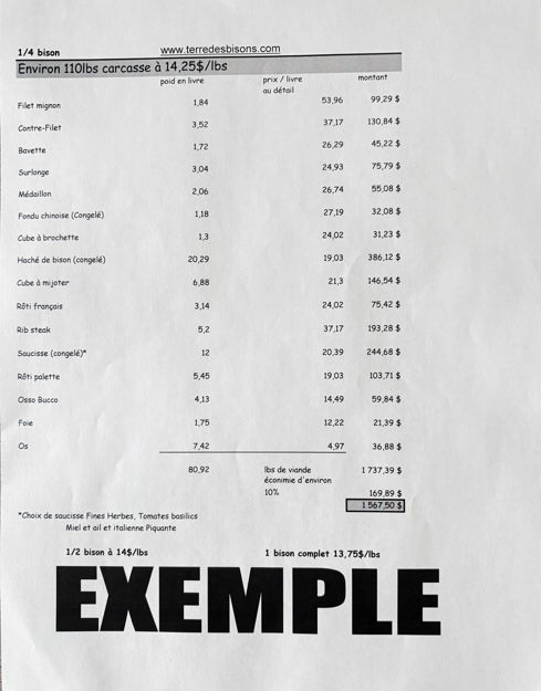 Image sur 1/4 de bison